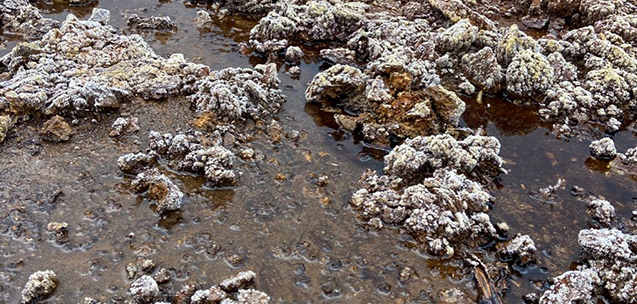 Untitled-1 Untitled-1